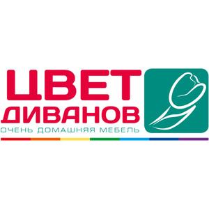 Лого Цвет Диванов